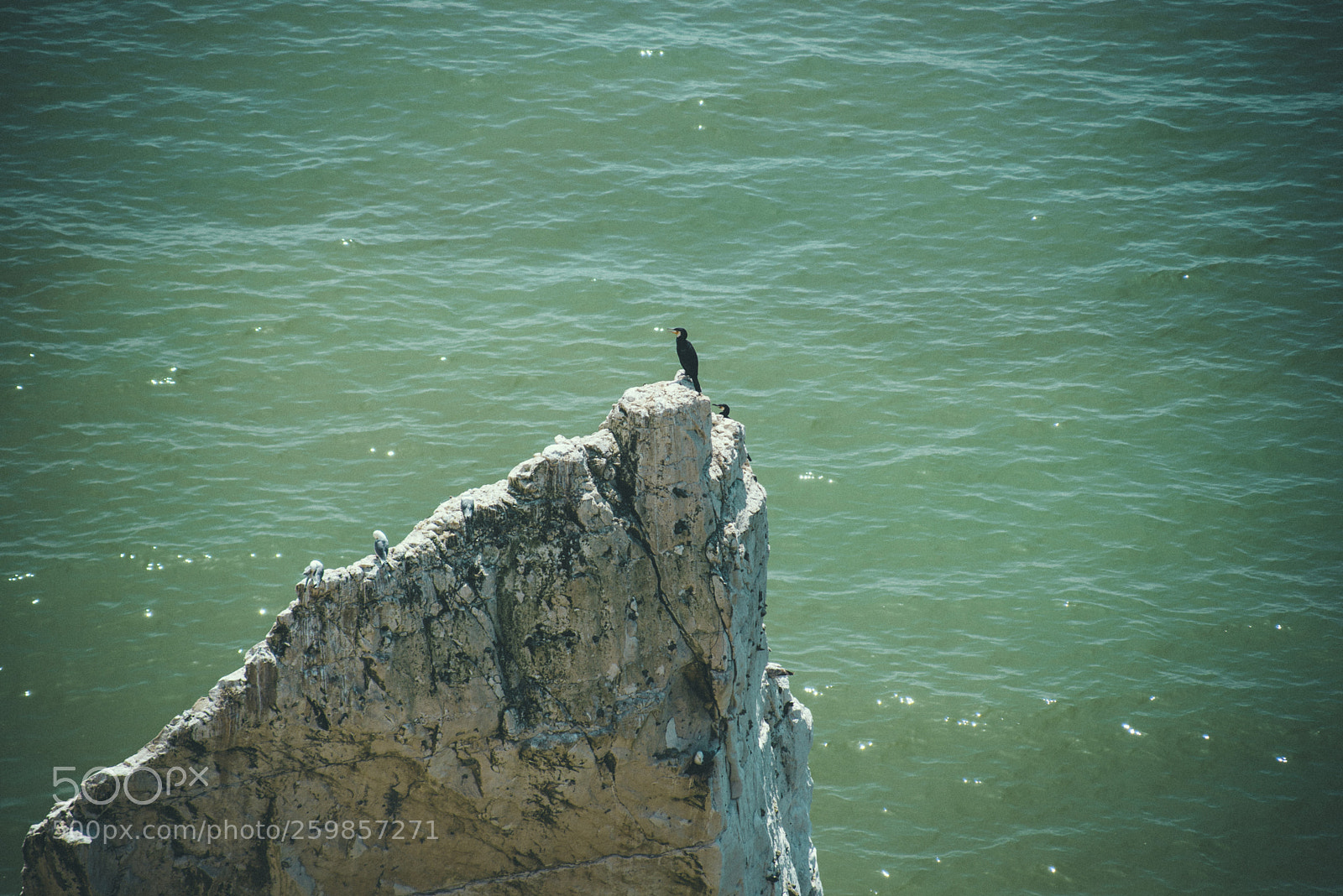 Nikon D610 sample photo. Seaford 2018-22 photography