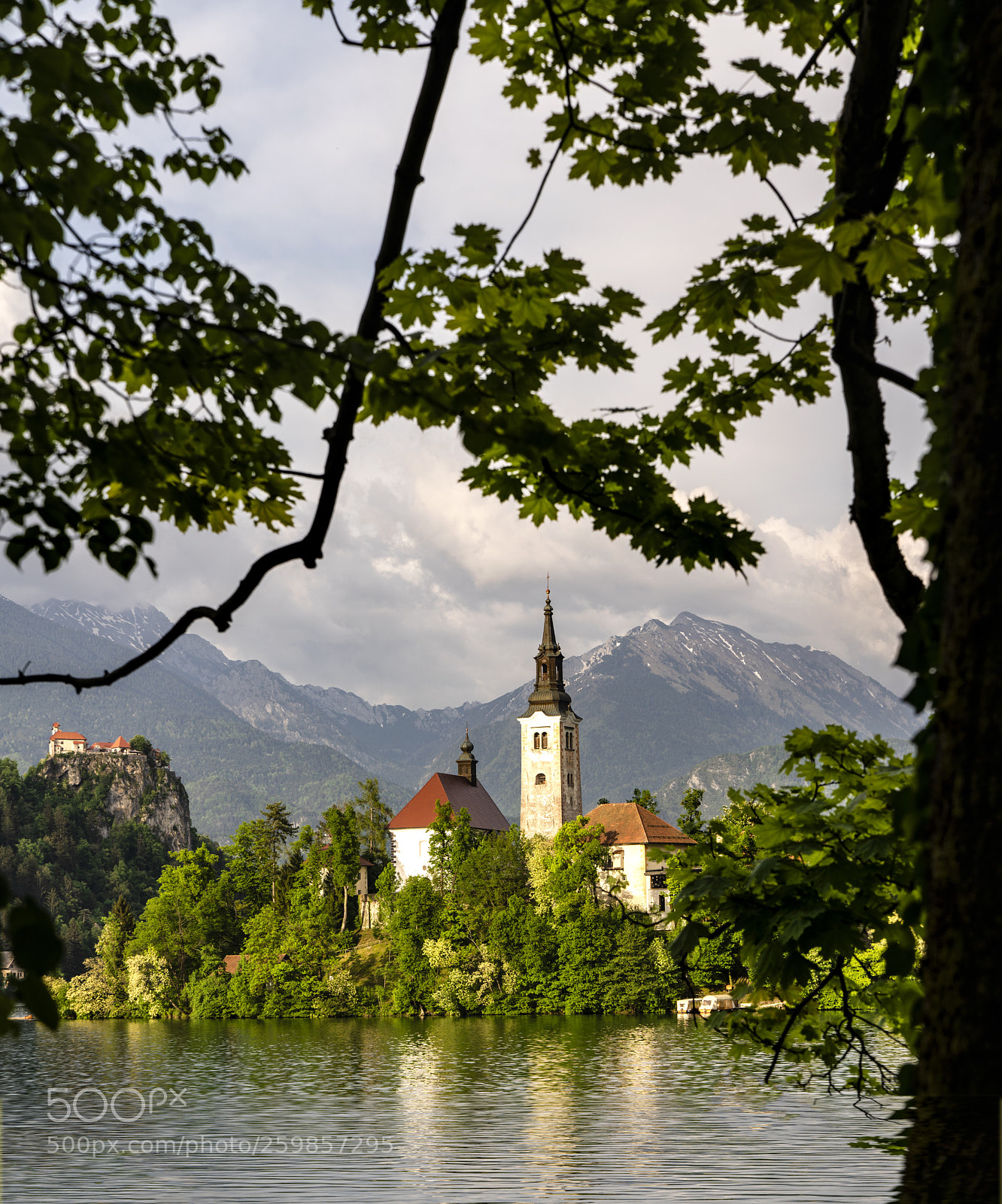 Sony a7R III sample photo. Lake bled photography