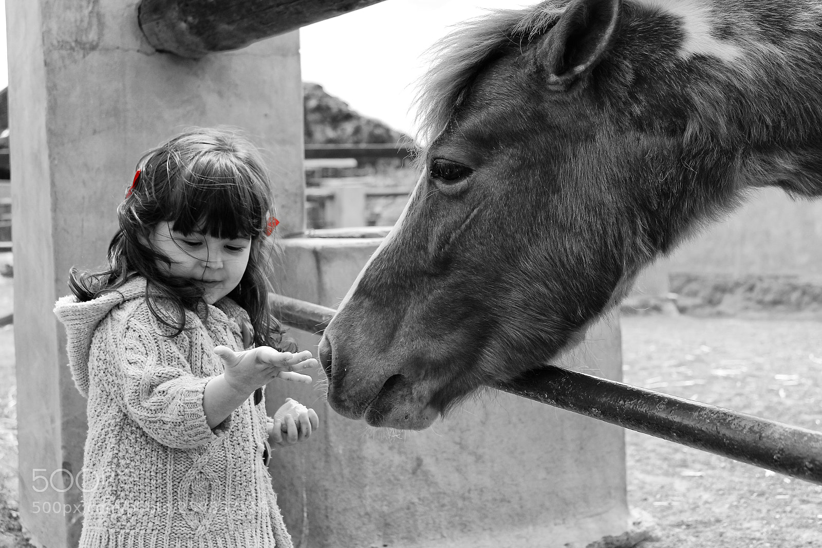 Canon EOS 600D (Rebel EOS T3i / EOS Kiss X5) sample photo. Amelie's friend photography