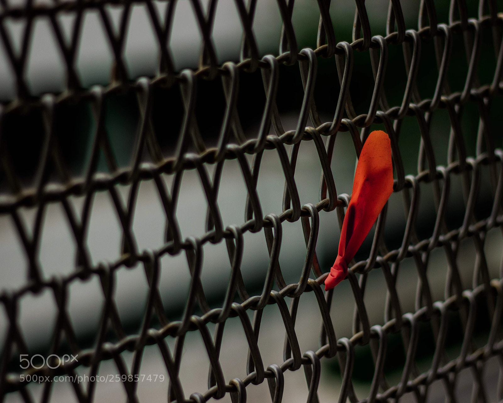 Canon EOS 600D (Rebel EOS T3i / EOS Kiss X5) sample photo. Solitude photography
