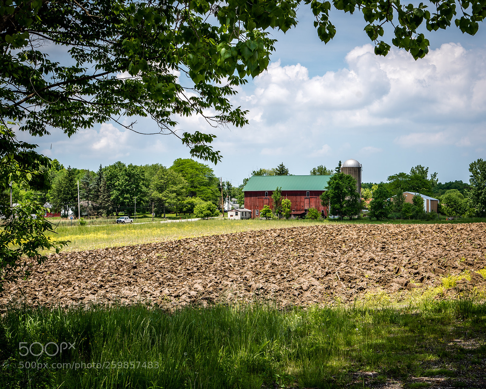 Nikon D750 sample photo. It is summertime! photography