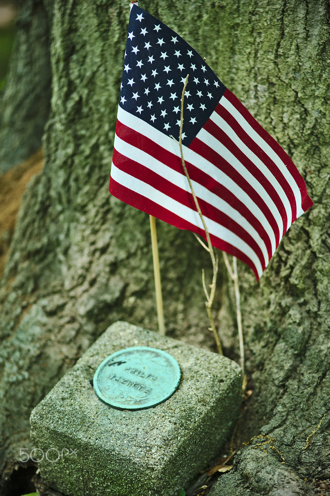 Sony a7 III + ZEISS Batis 85mm F1.8 sample photo. For memorial day photography