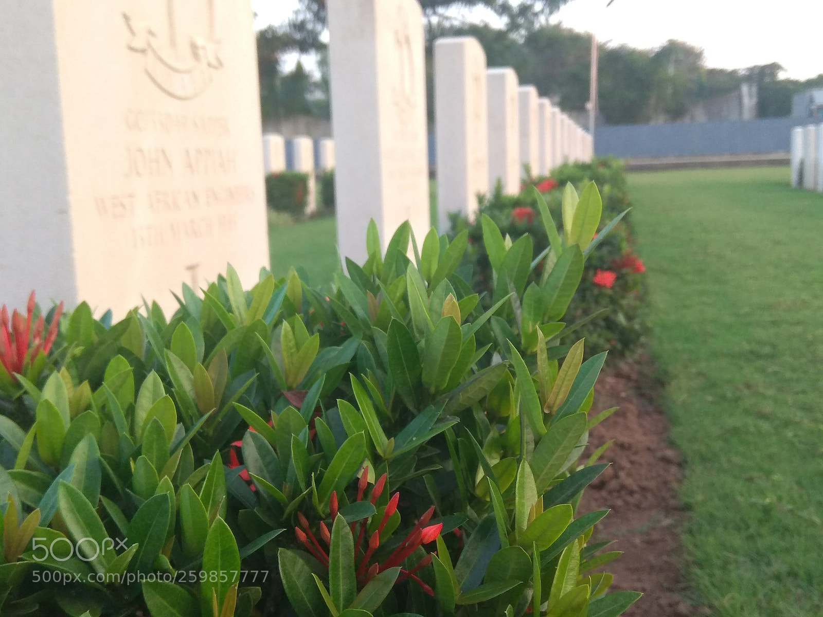 Xiaomi Redmi Note 4 sample photo. Untitled photography