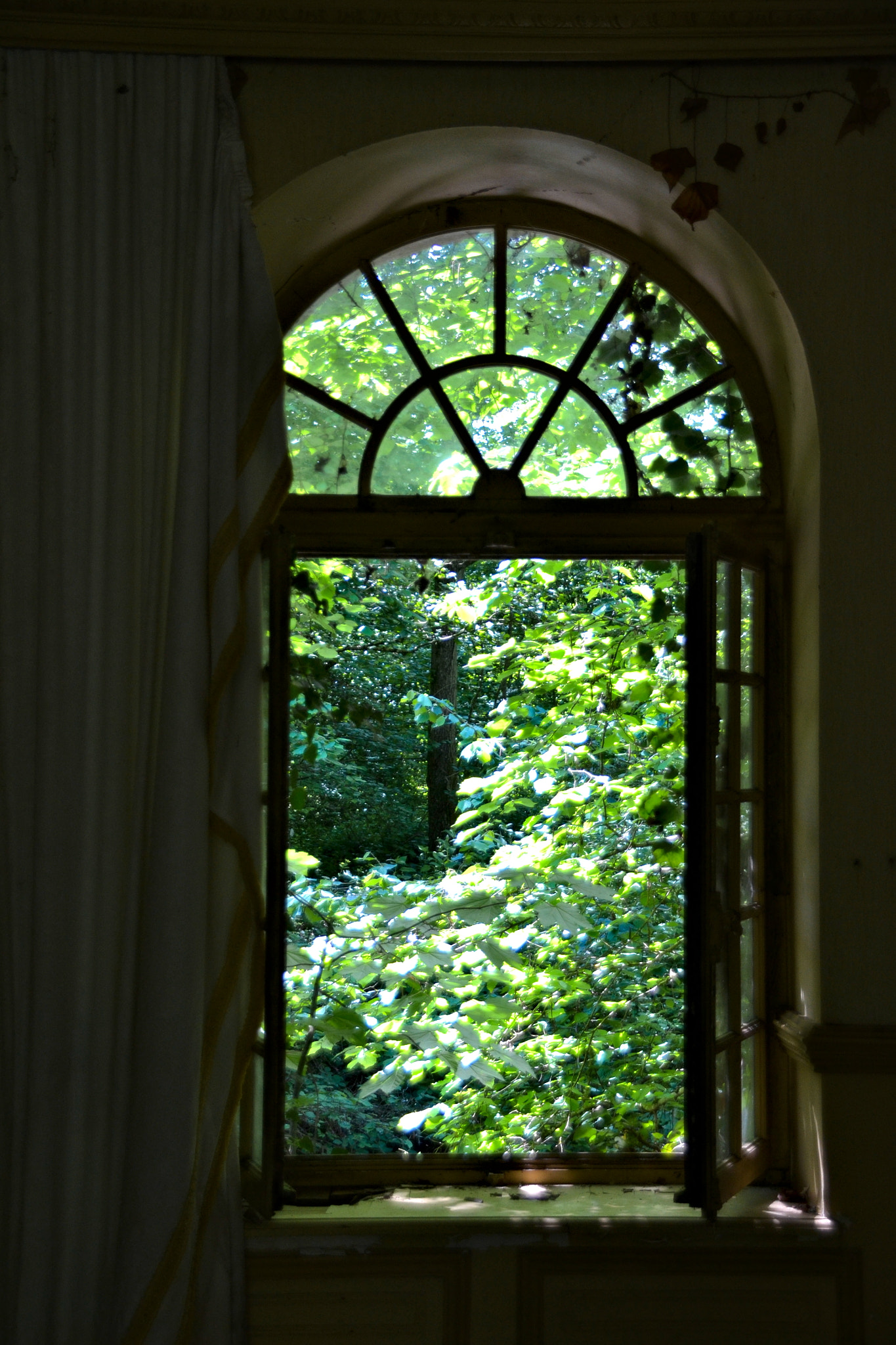 Sigma 18-250mm F3.5-6.3 DC Macro OS HSM sample photo. Hidden places photography