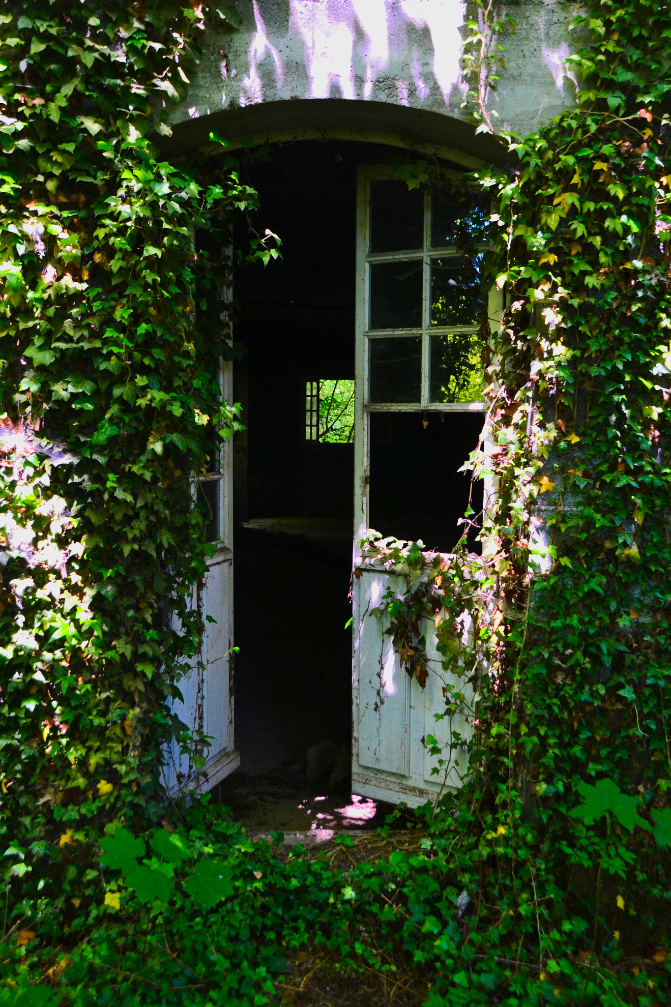 Sigma 18-250mm F3.5-6.3 DC Macro OS HSM sample photo. Hidden places photography