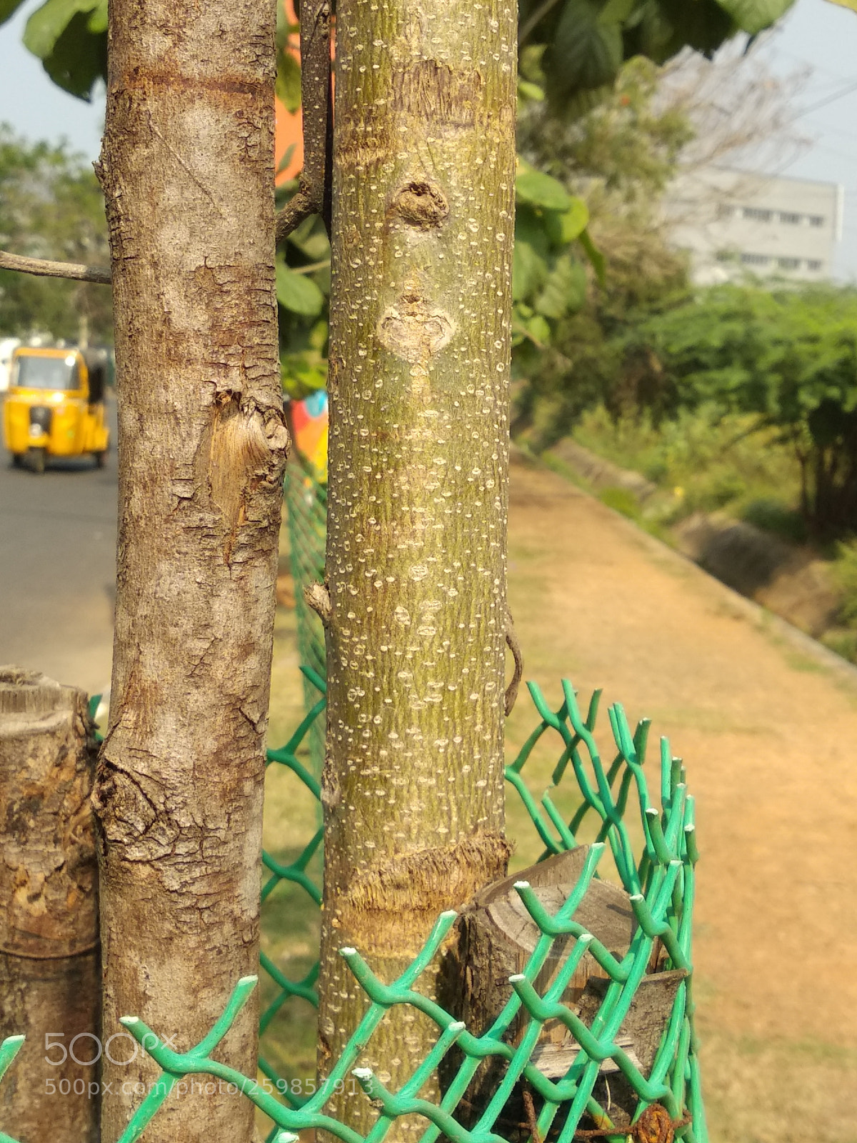 Xiaomi Mi A1 sample photo. Untitled photography