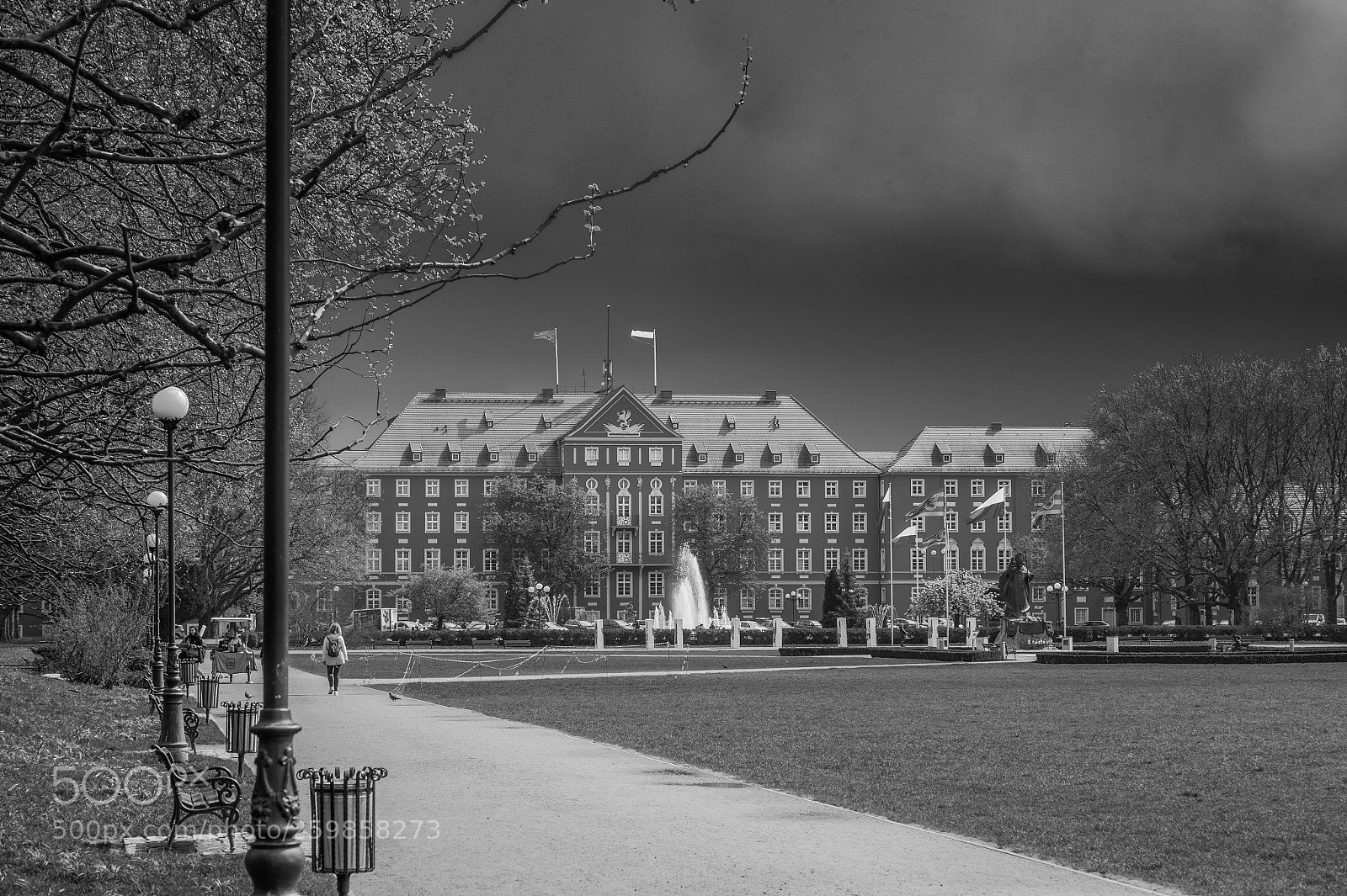 Nikon Df sample photo. A day in the photography