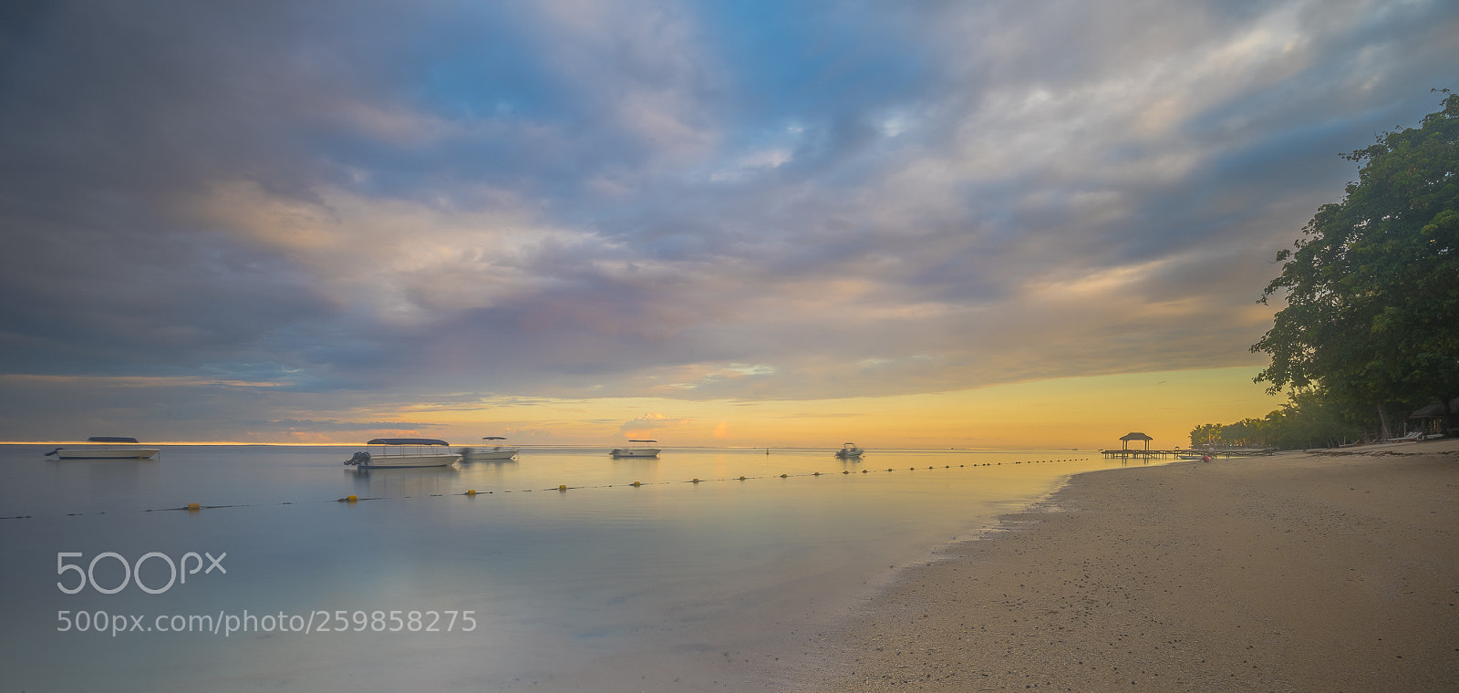 Sony a7 III sample photo. Morning raga photography