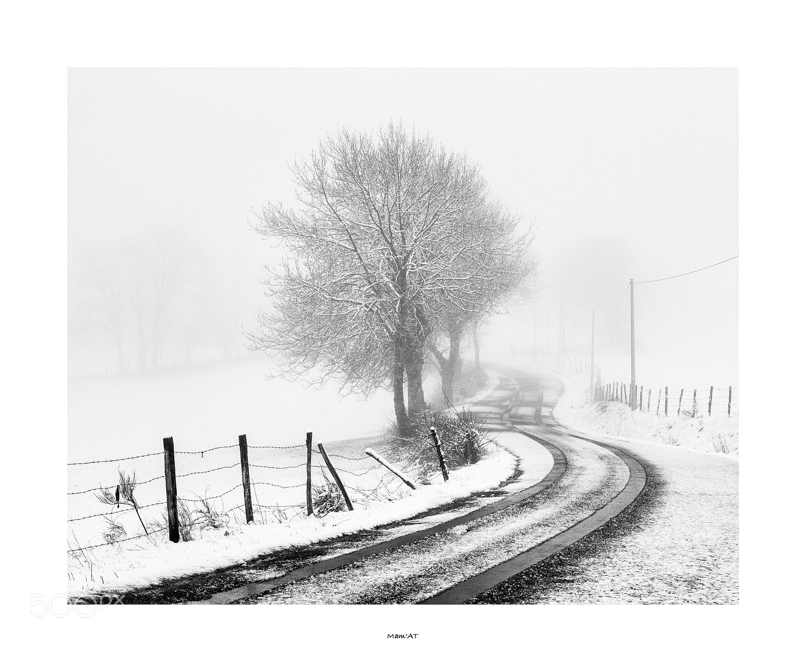 Canon EOS 6D Mark II sample photo. Tree and road photography
