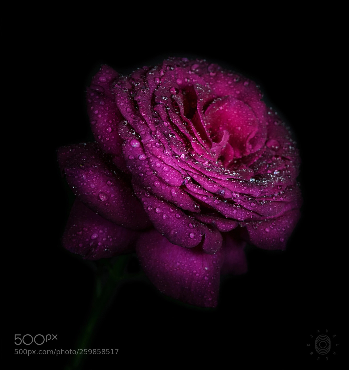 Nikon D3300 sample photo. Lonely photography