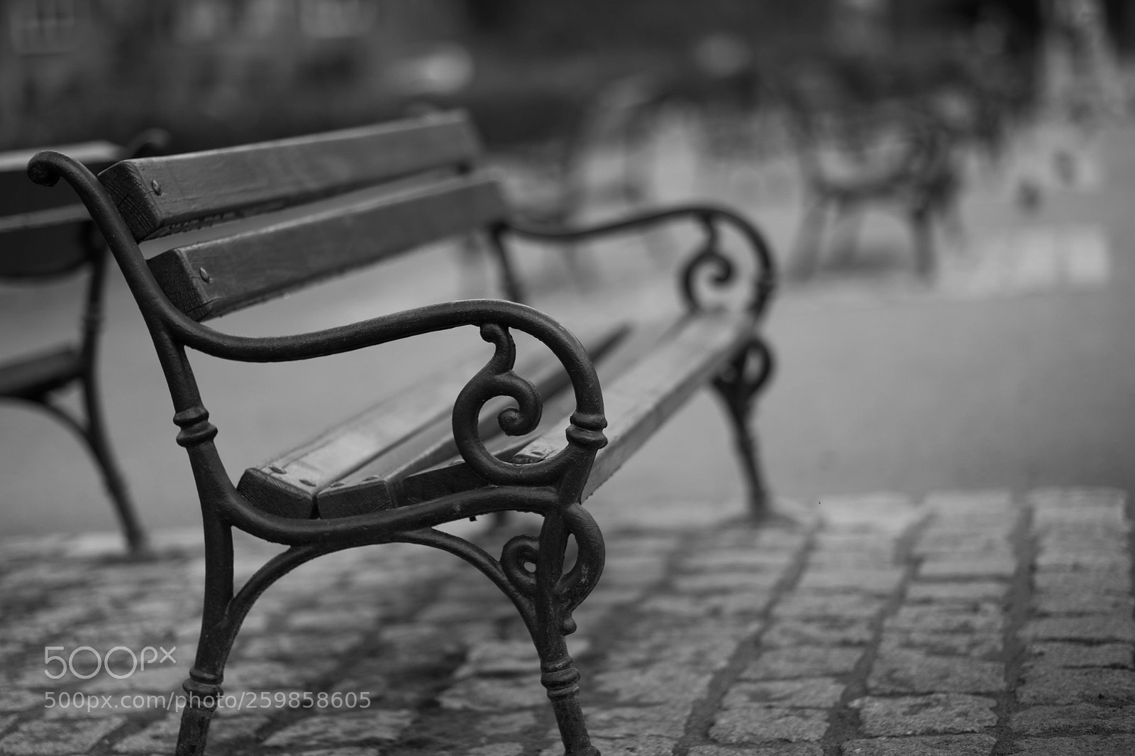 Nikon Df sample photo. The park bench bokeh photography