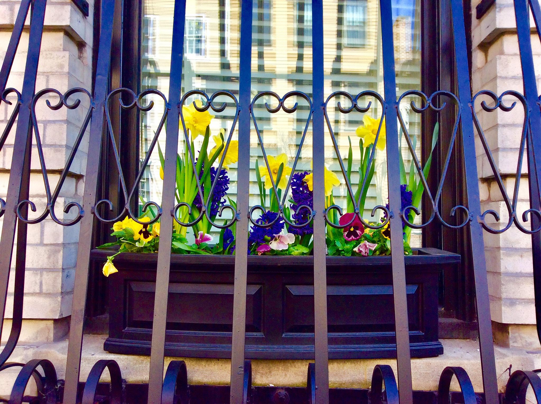 Apple iPad mini 2 sample photo. Α beautiful window with flowers photography