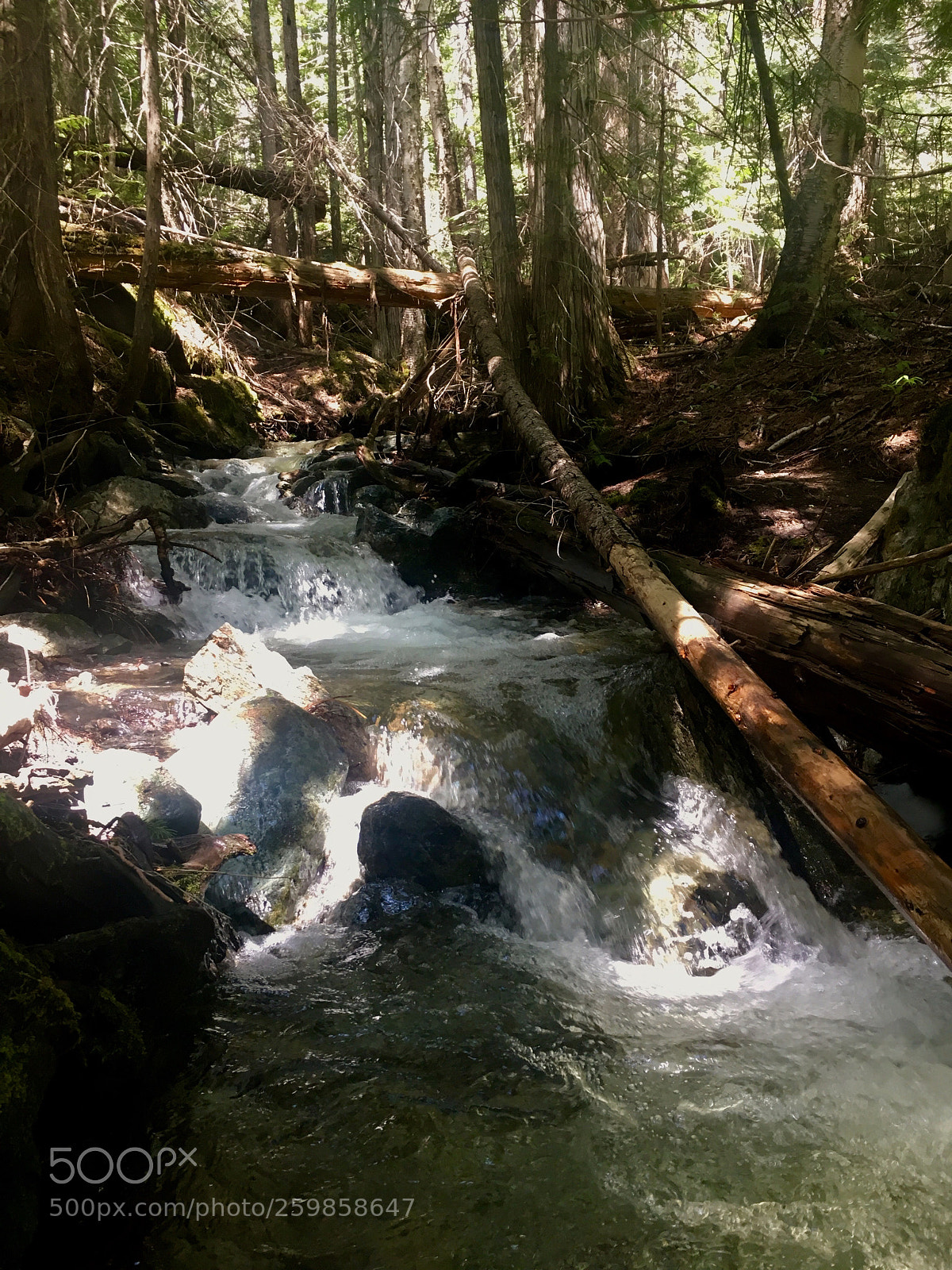 Apple iPhone 6s sample photo. Forest cascade photography