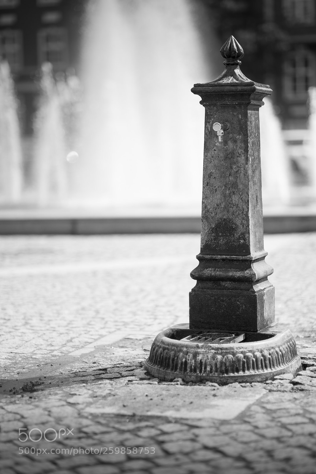 Nikon Df sample photo. The fountains friend photography