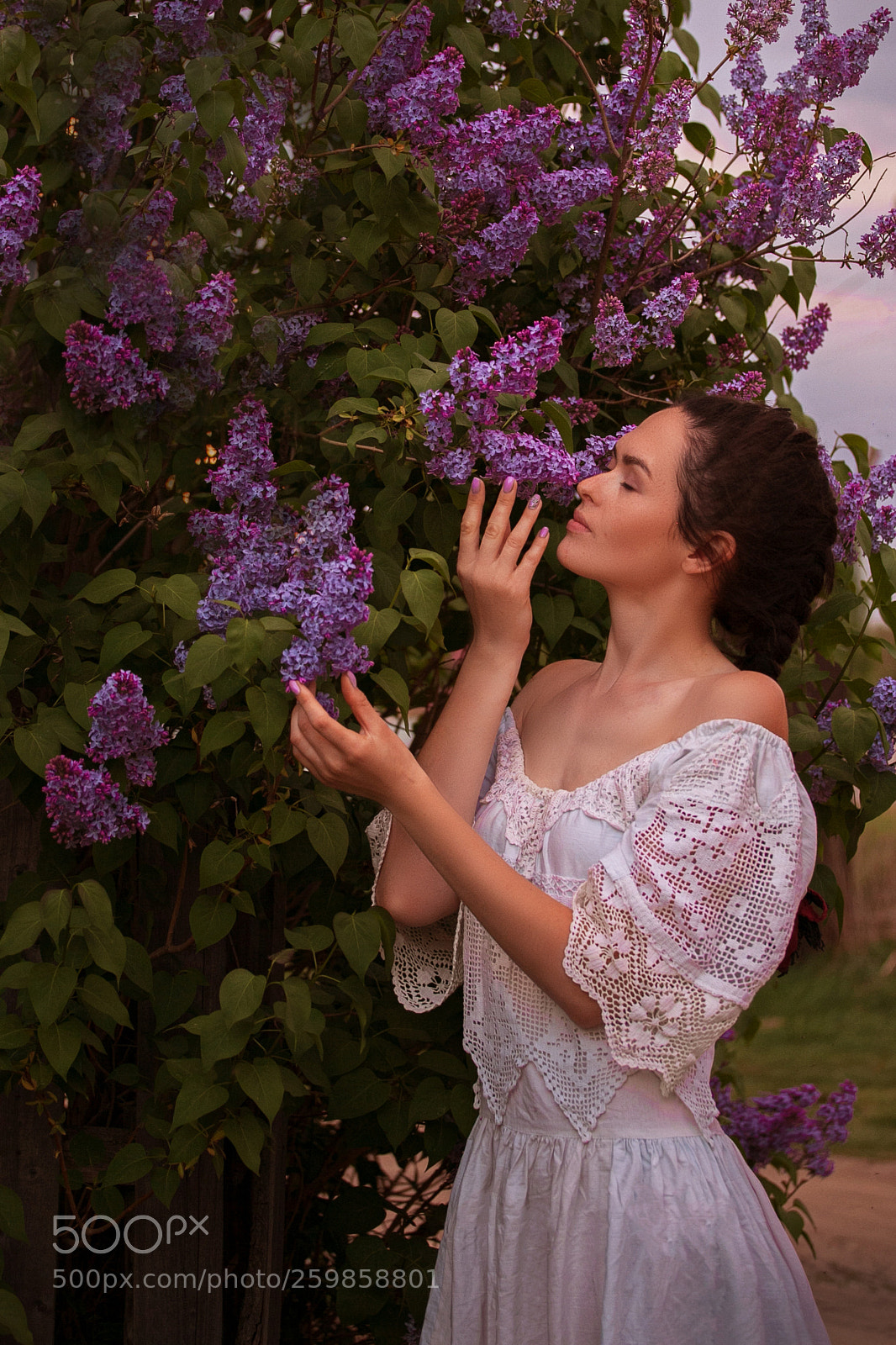 Canon EOS 5D Mark II sample photo. Img photography