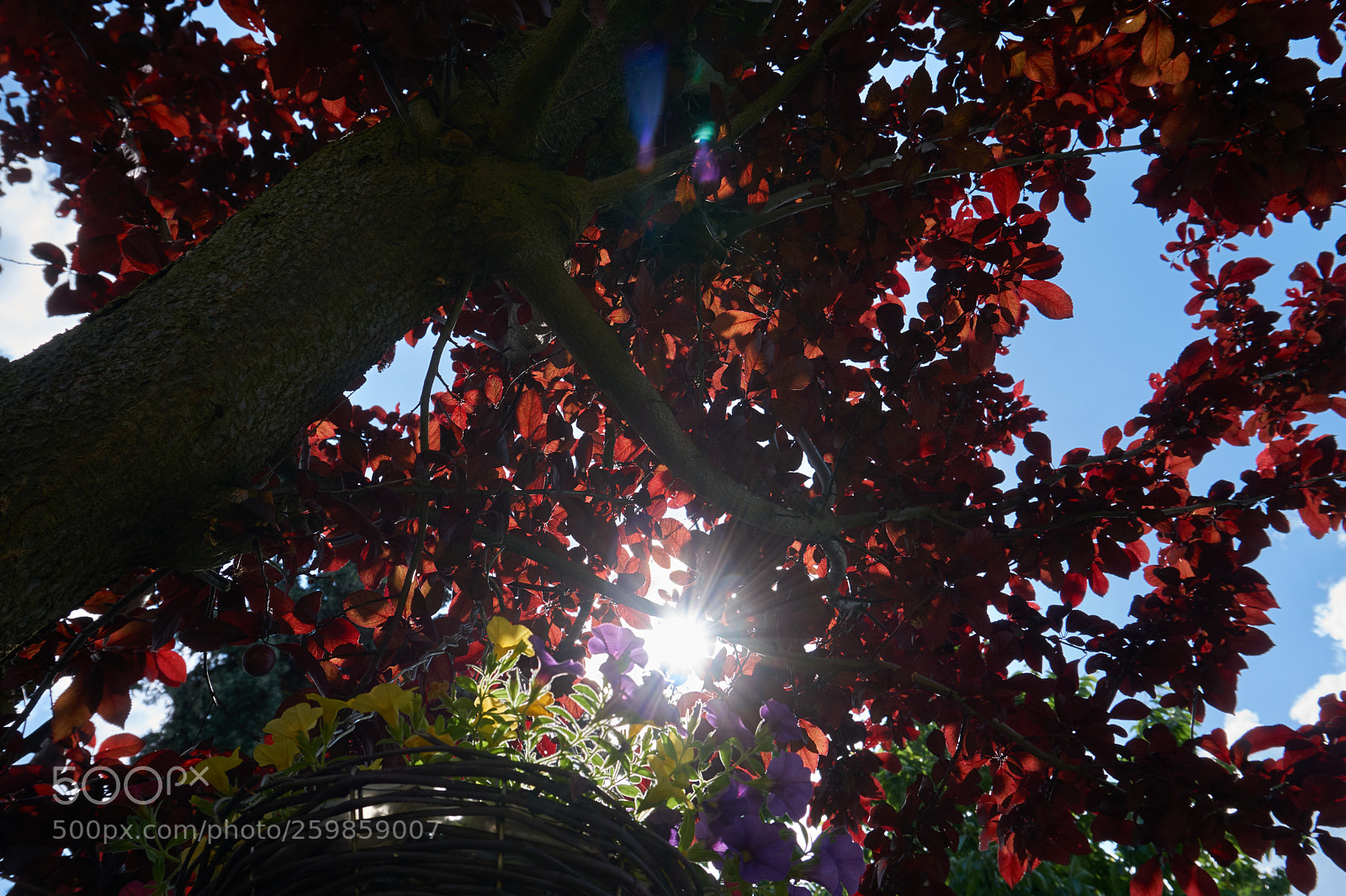 Sony a6000 sample photo. Untitled photography