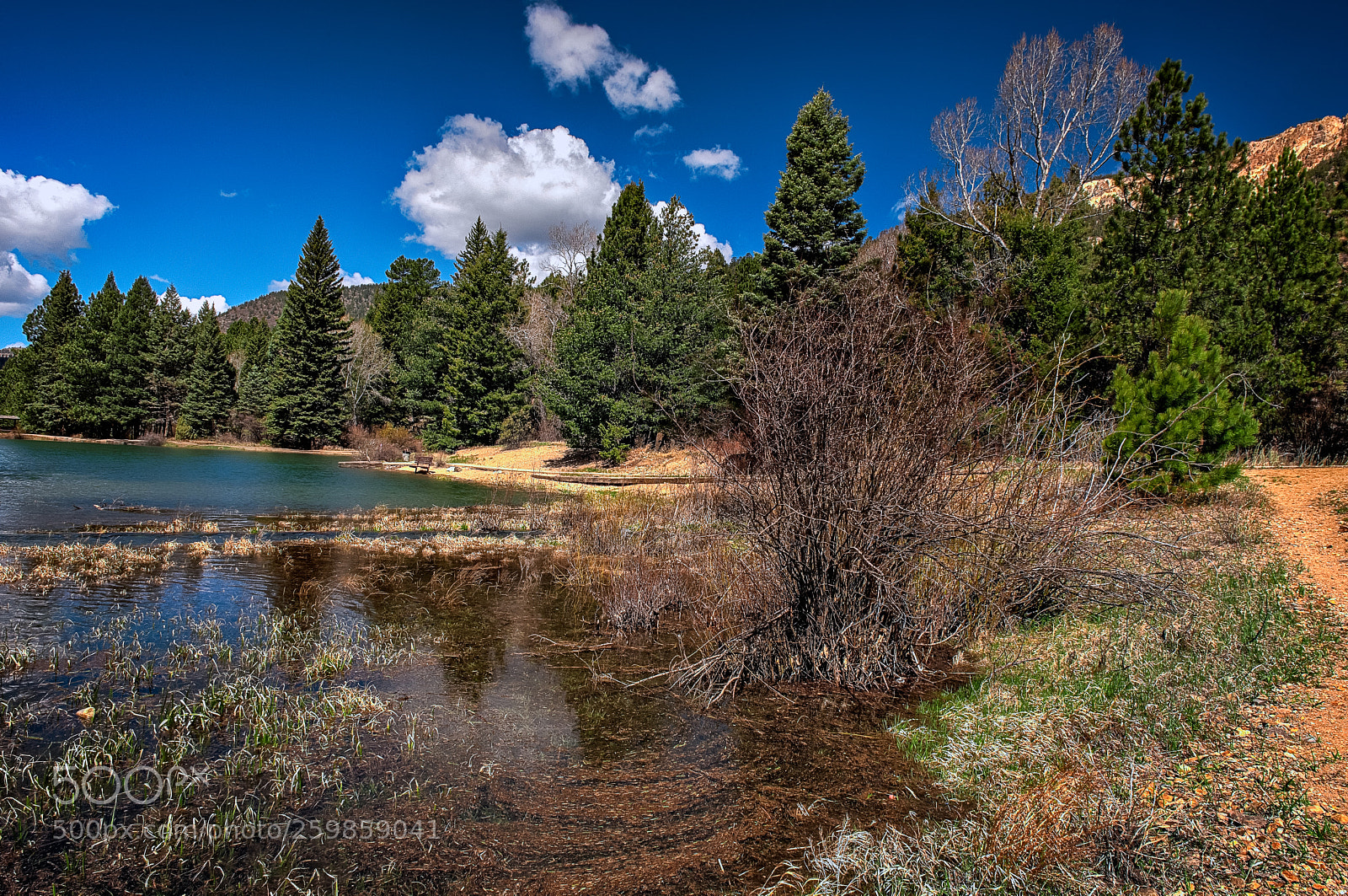 Nikon D750 sample photo. Fawn lake photography