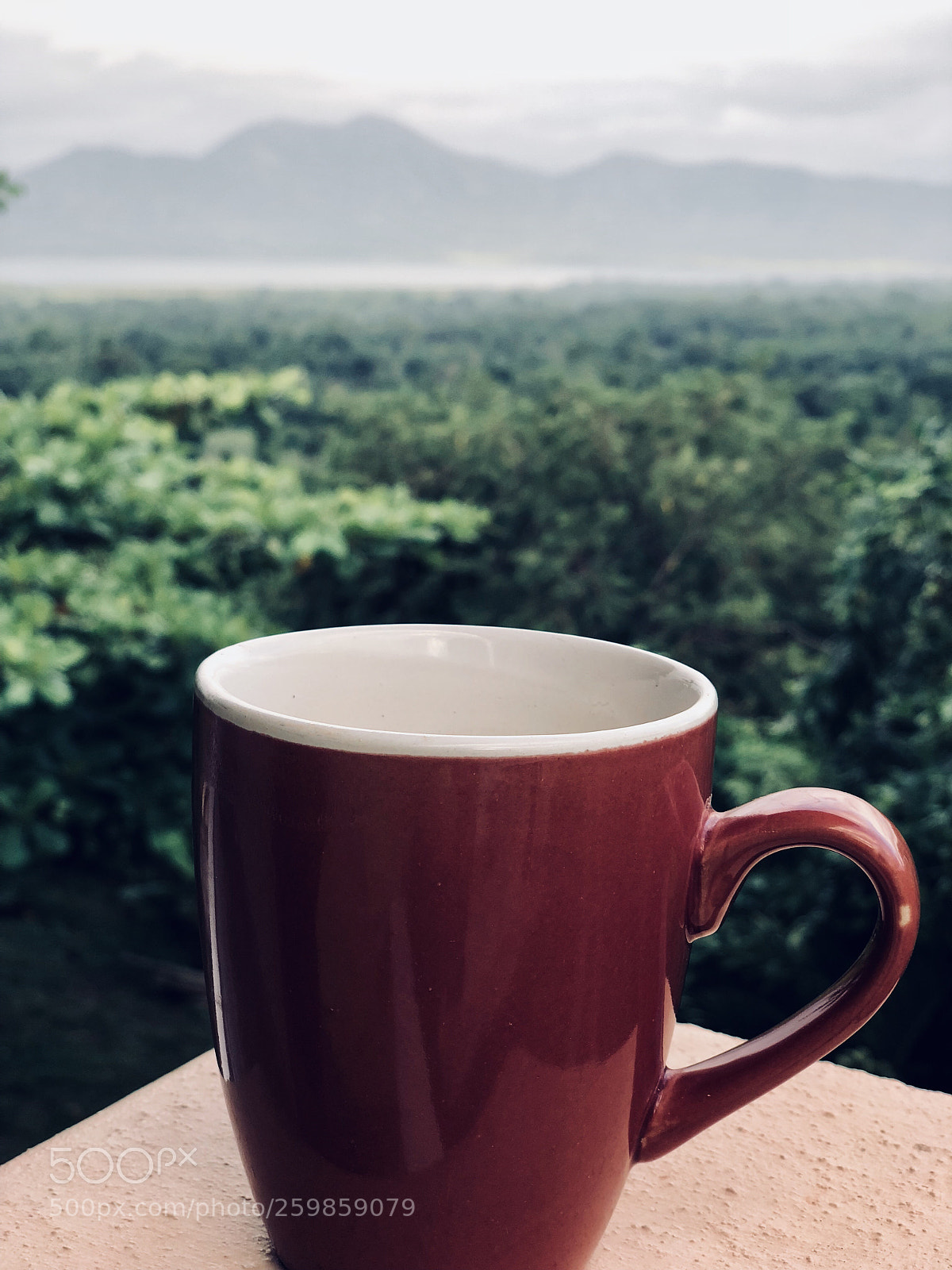 Apple iPhone X sample photo. Untitled photography