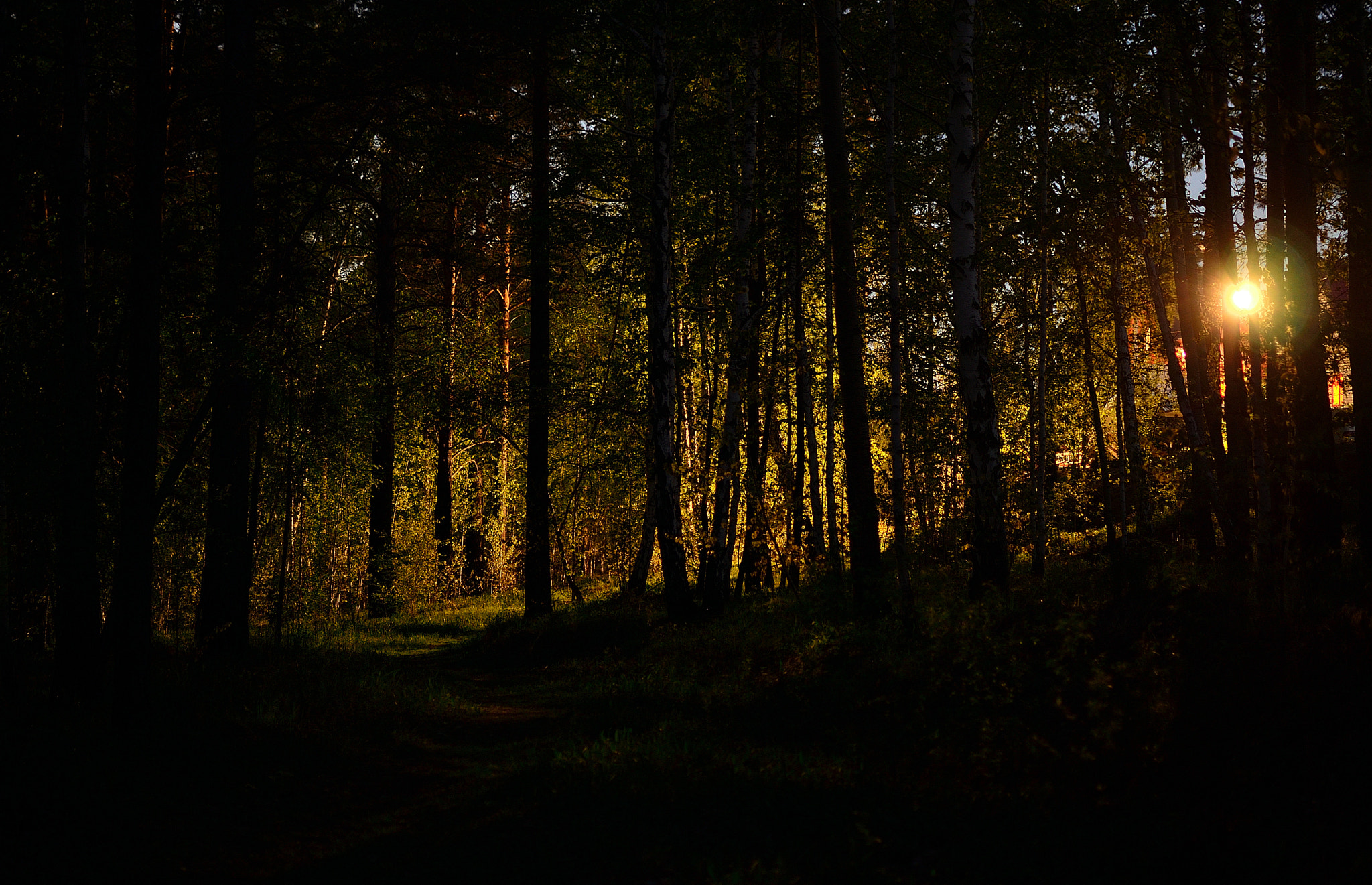 Nikon D7000 + Nikon AF-S DX Nikkor 35mm F1.8G sample photo. Night.road home. Ночь.Дорога домой photography