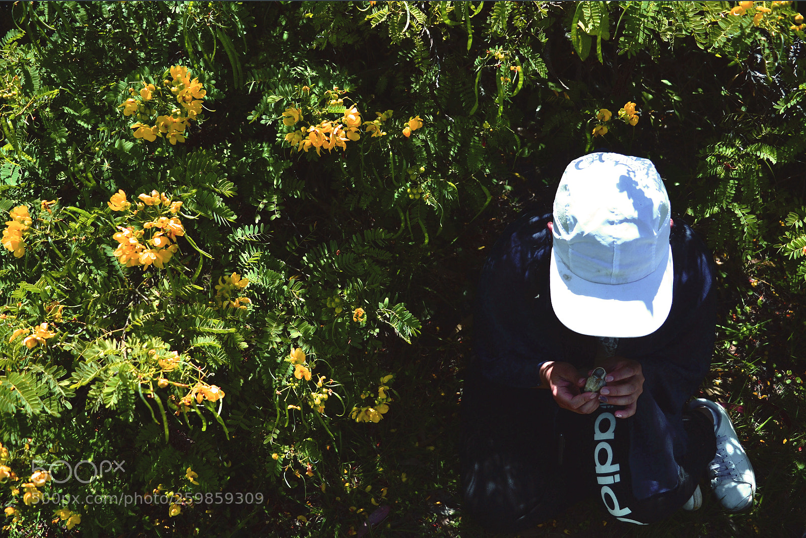 Nikon D3100 sample photo. Caracola photography