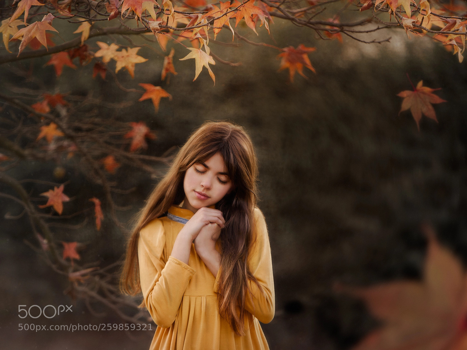Nikon D750 sample photo. Autumn dreams photography