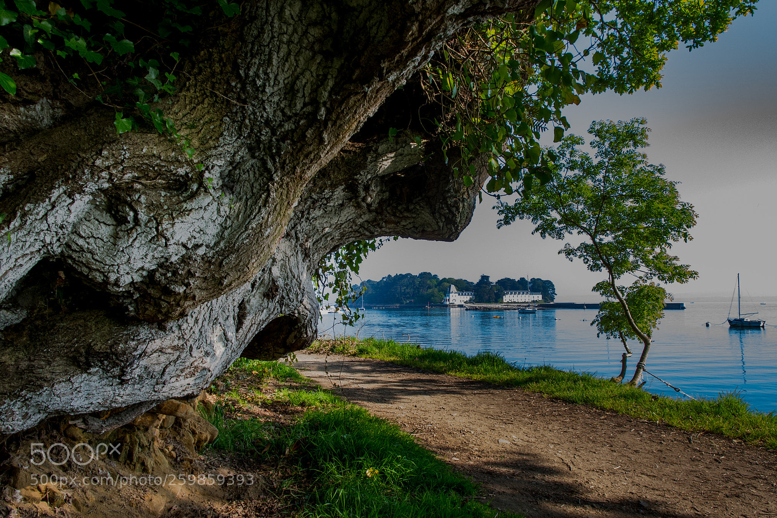 Nikon D500 sample photo. 2018 - 3.jpg photography