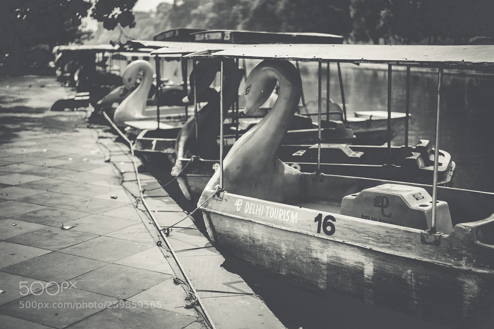 Sony a7 II sample photo. Swan boats photography