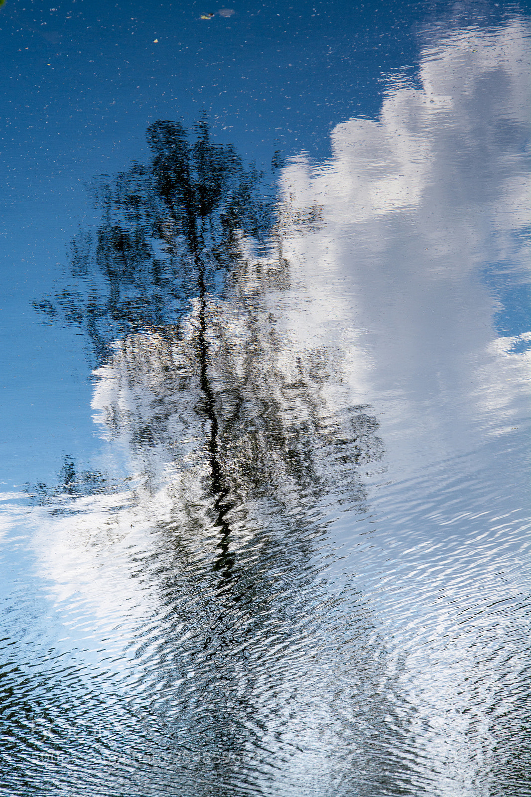 Nikon D5200 sample photo. Natura photography