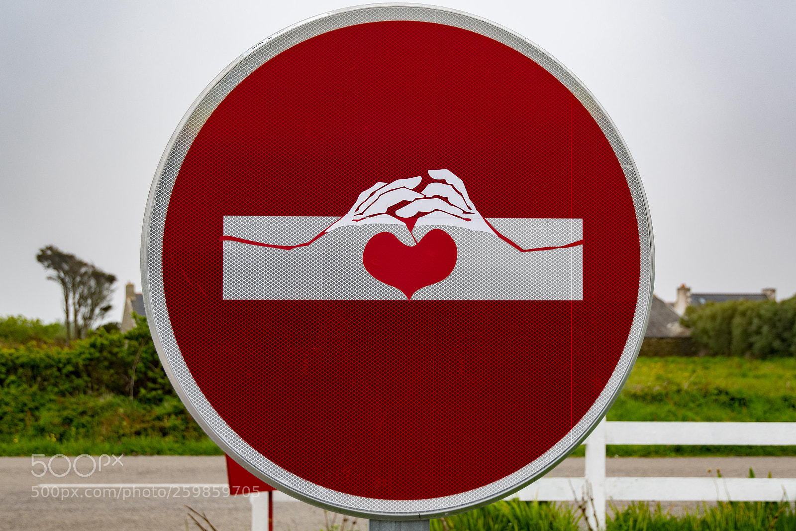 Nikon D500 sample photo. Code de la route photography