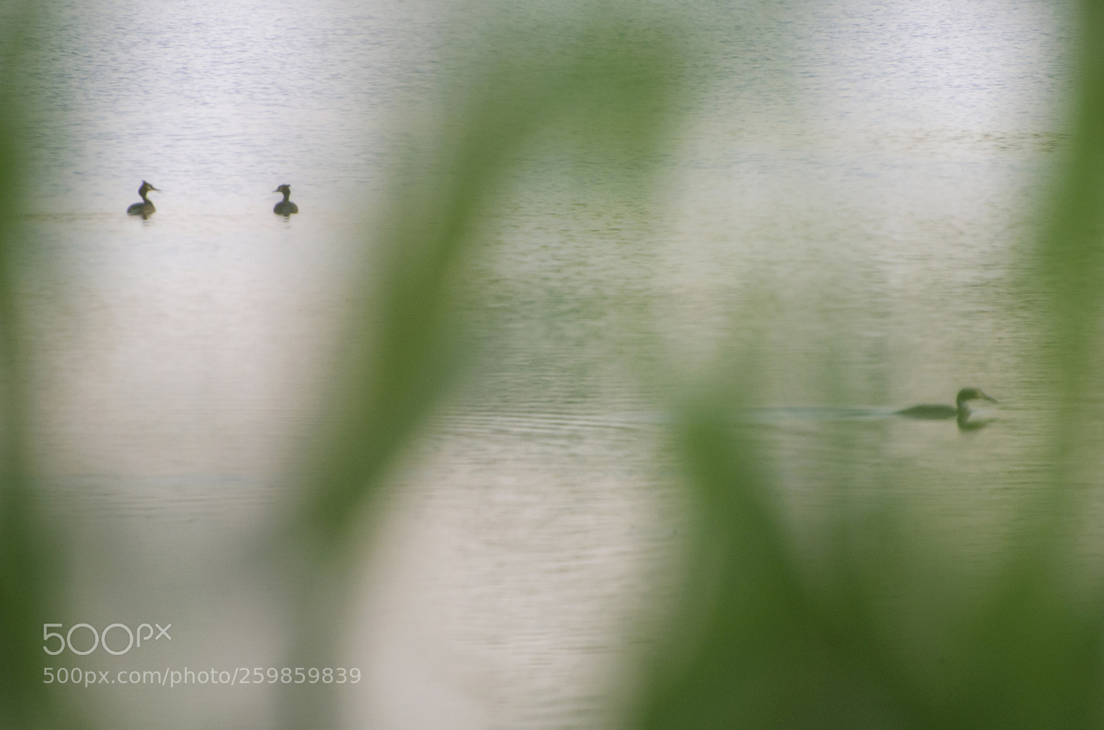 Nikon D5100 sample photo. ... photography