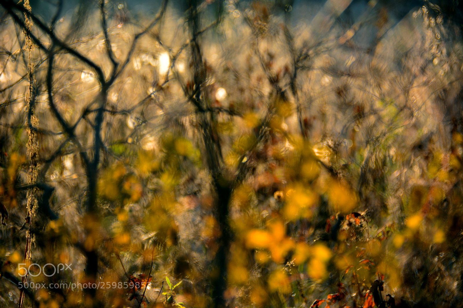 Nikon D7100 sample photo. Warmth of decay photography