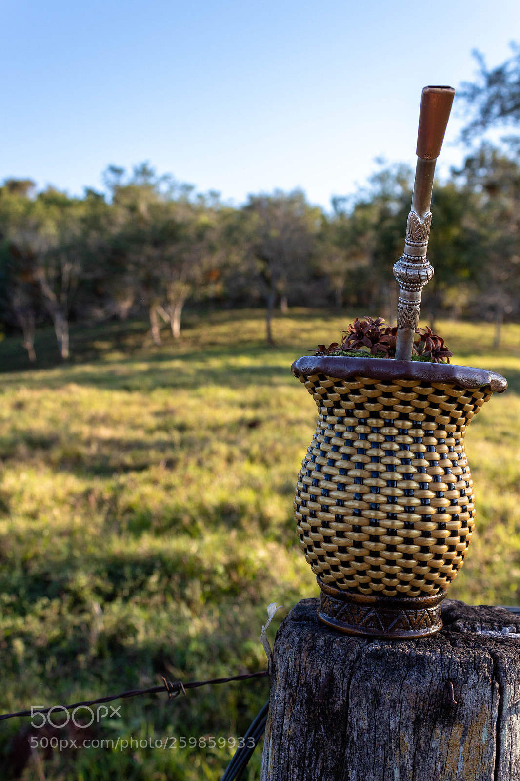 Canon EOS 1300D (EOS Rebel T6 / EOS Kiss X80) sample photo. Chimarrão no interior photography