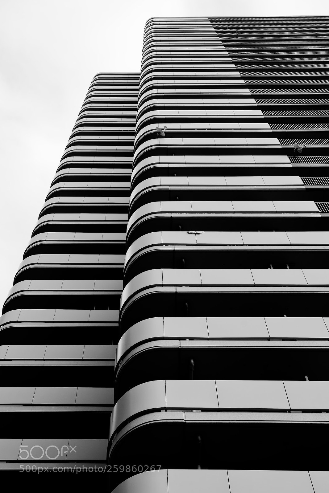 Nikon D600 sample photo. Tokyo, japan photography