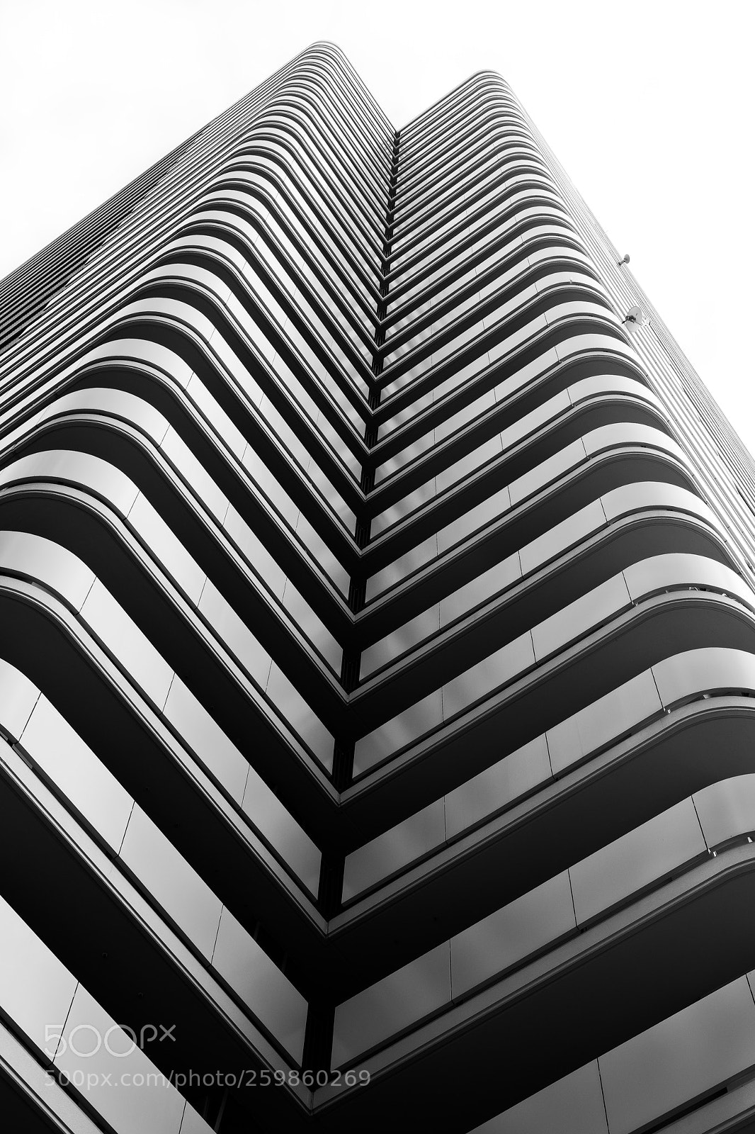Nikon D600 sample photo. Tokyo, japan photography
