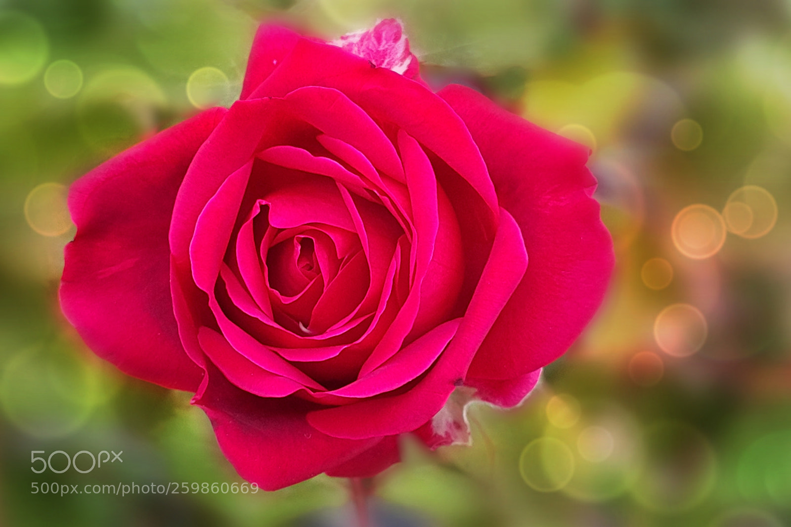 Samsung Galaxy Note4 sample photo. 324 photography