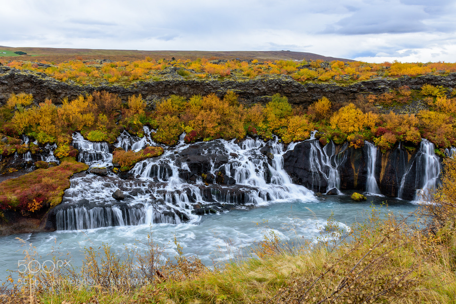 Nikon D5500 sample photo. Autumn colors photography