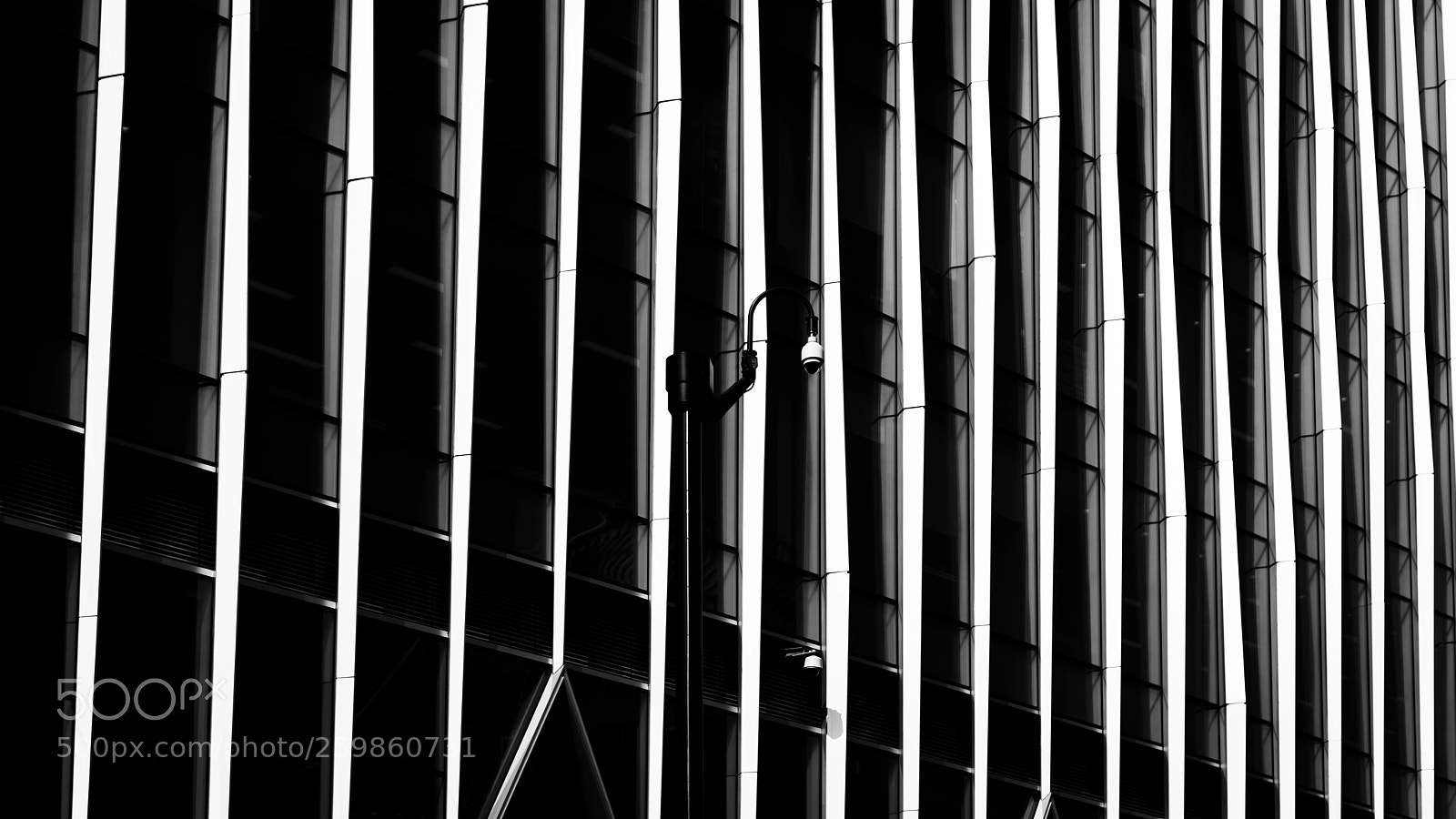 Nikon D800 sample photo. Hiding in plain sight photography