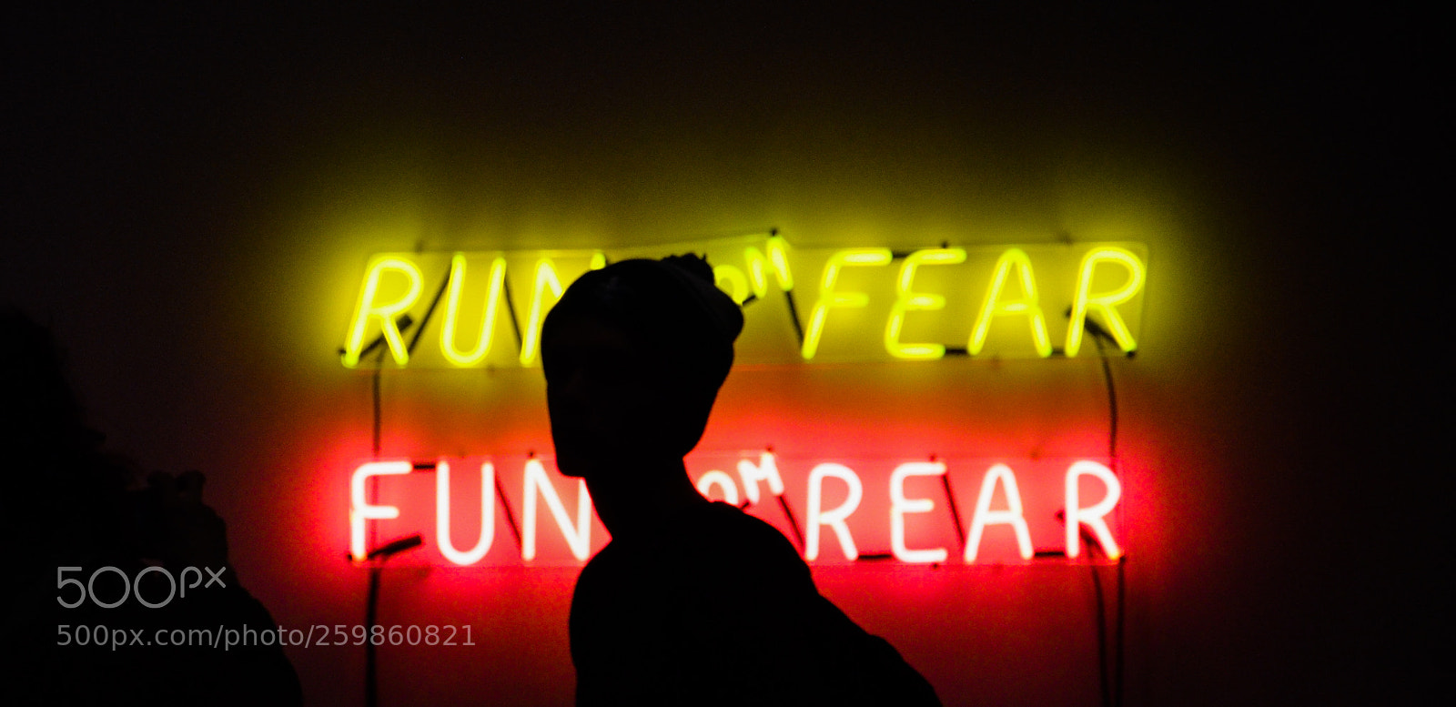 Nikon D5100 sample photo. Run fear fun rear photography