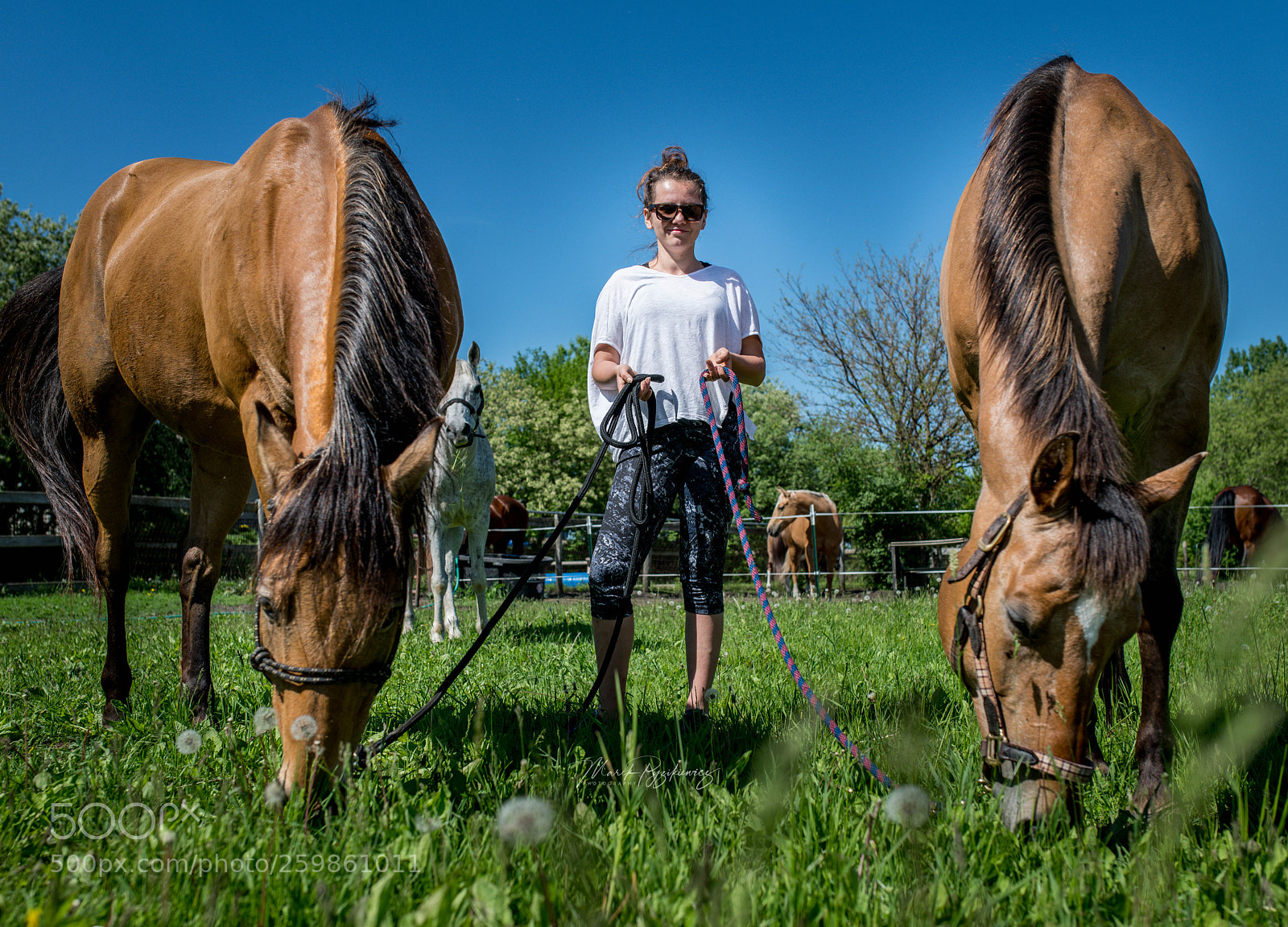 Nikon D850 sample photo. Couples photography