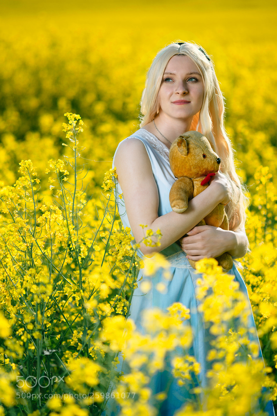 Nikon D800 sample photo. Alice photography