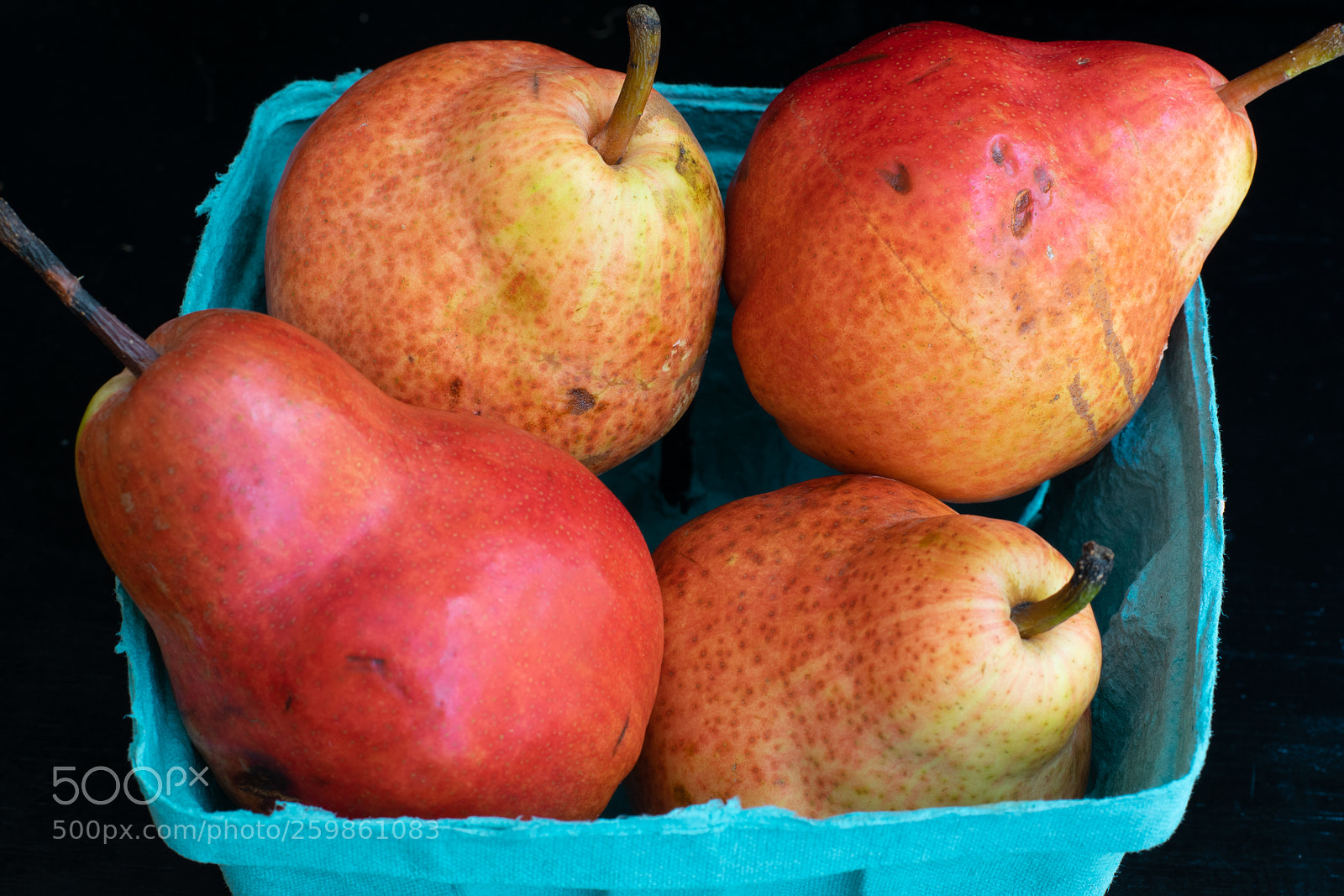 Nikon D5300 sample photo. Four pears photography