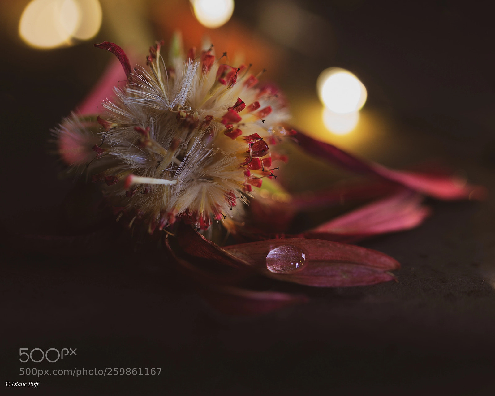 Canon EOS 6D sample photo. Aging photography