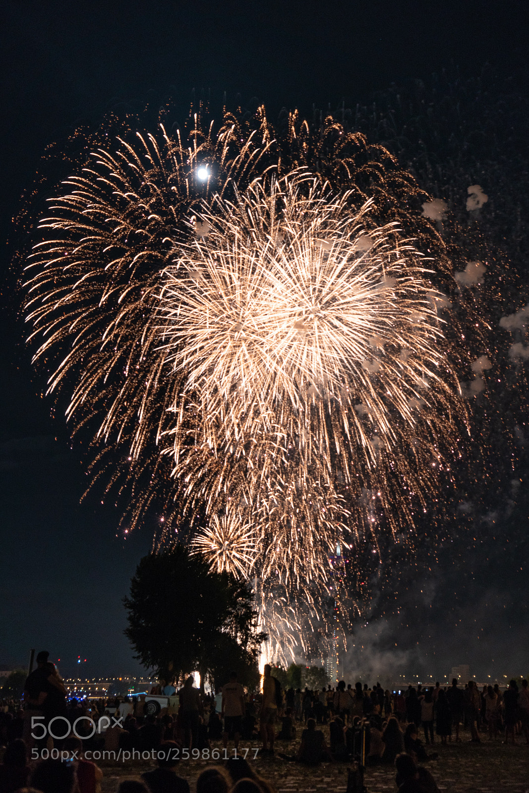 Sony a7R II sample photo. Fireworks photography