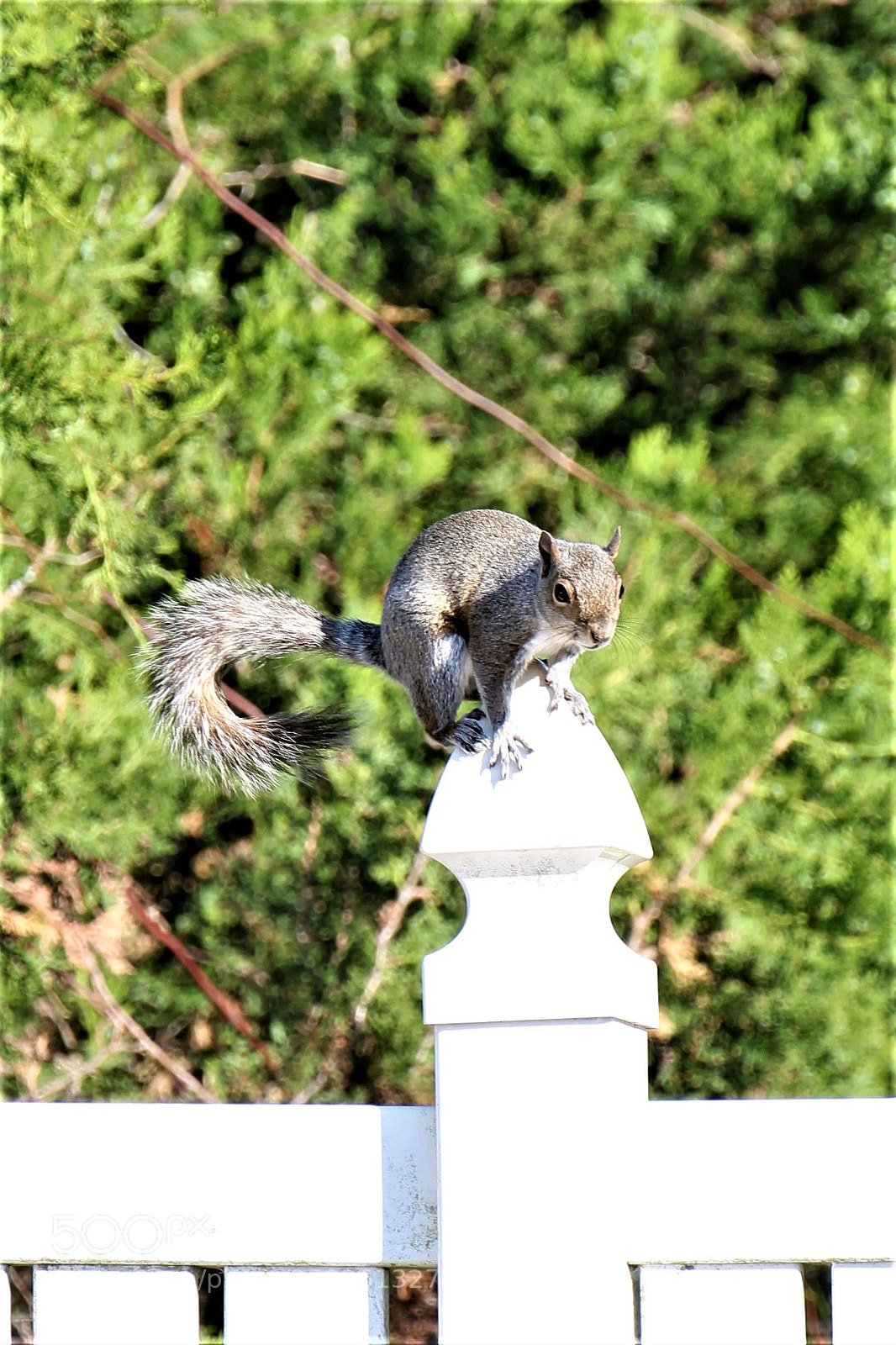 Canon EOS 1300D (EOS Rebel T6 / EOS Kiss X80) sample photo. Just hanging out photography