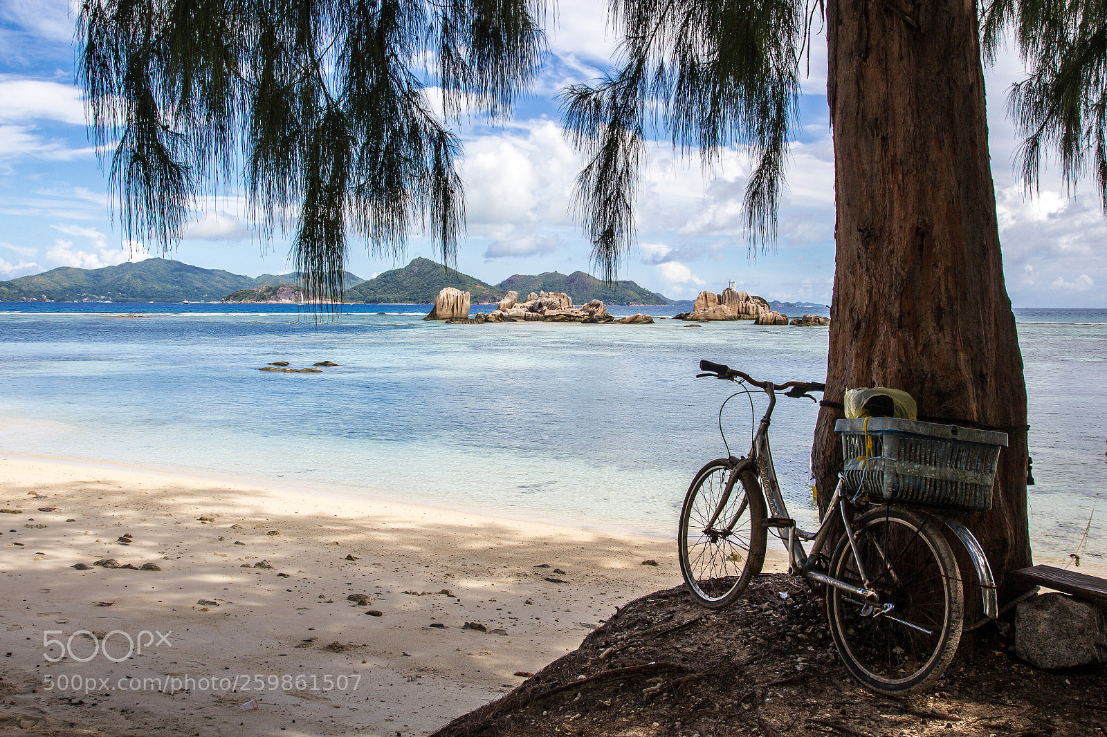 Canon EOS 60D sample photo. My bikes photography