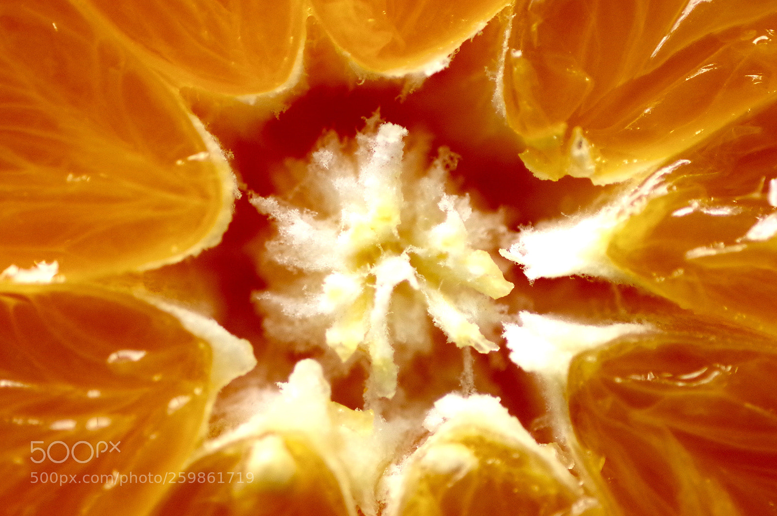 Pentax K-30 sample photo. Orange heart  photography
