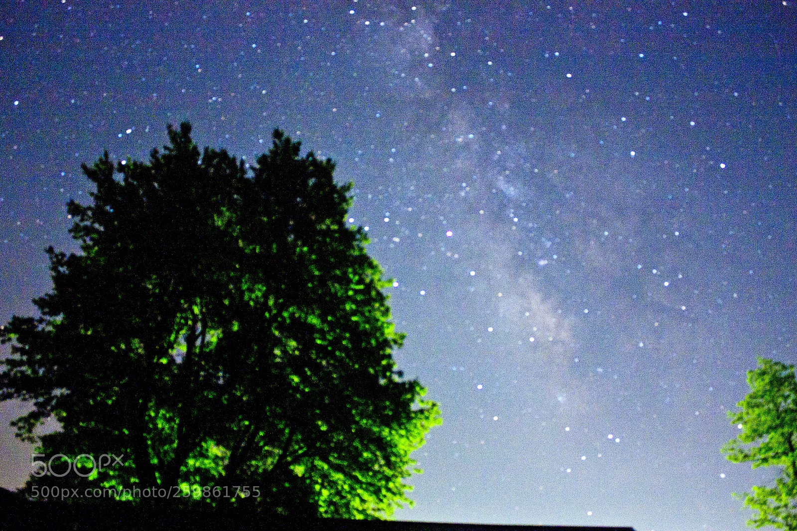 Canon EOS 450D (EOS Rebel XSi / EOS Kiss X2) sample photo. Milky way light photography