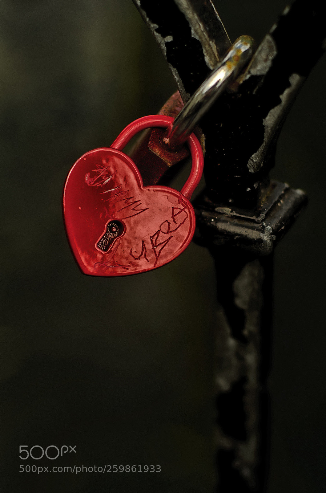 Nikon D7000 sample photo. Love lockett photography