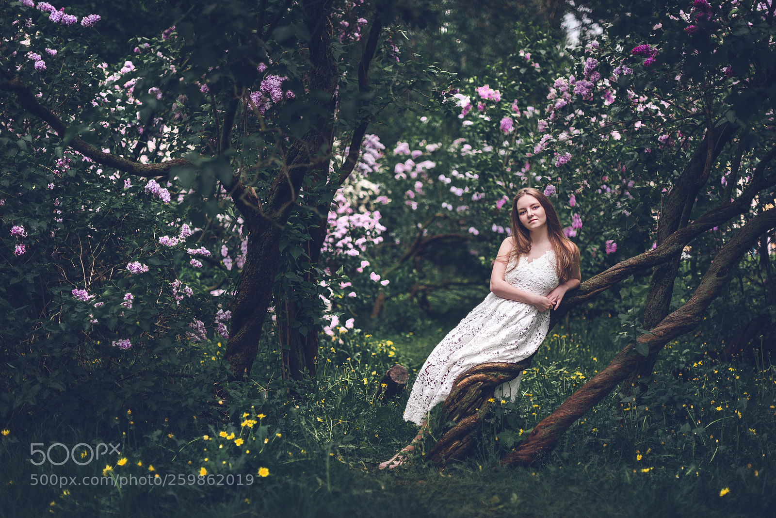Nikon D750 sample photo. Dryad photography