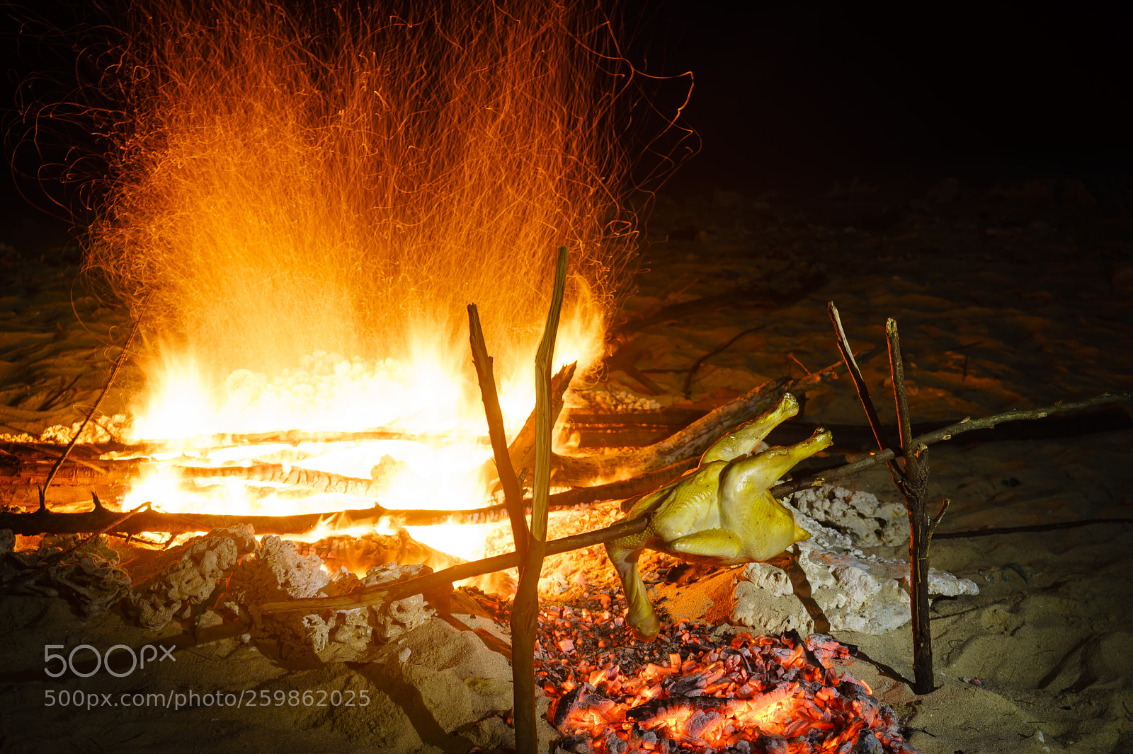 Sony a7 II sample photo. Chicken bbq photography